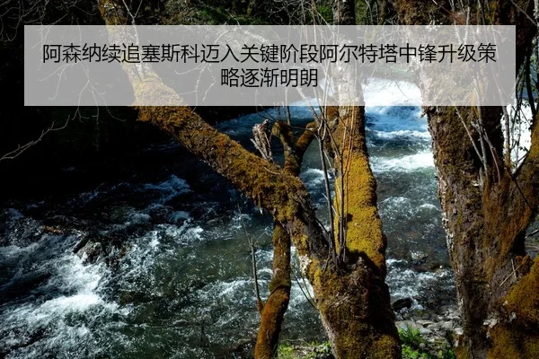 阿森纳续追塞斯科迈入关键阶段阿尔特塔中锋升级策略逐渐明朗