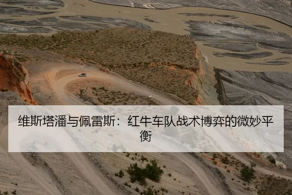 维斯塔潘与佩雷斯：红牛车队战术博弈的微妙平衡